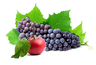 grapes and apple fruits HD wallpaper