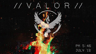 Valor illustration, Pokémon, Pokemon Go, valor, instinct HD wallpaper