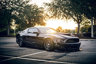 black coupe, car, Ford Mustang Shelby, trees, black