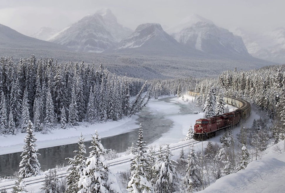 red train, train, snow, forest, mountains HD wallpaper