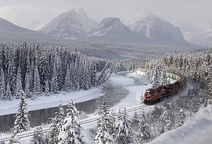 red train, train, snow, forest, mountains HD wallpaper