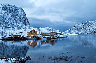 photo of brown wooden houses beside body of water during winter