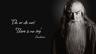 Albus Dumbledore illustration with text overlay, Gandalf, parody, Harry Potter, humor HD wallpaper
