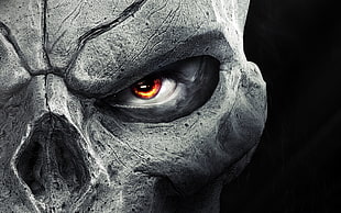 skull illustration HD wallpaper