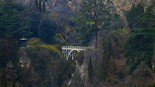 white metal bridge, photography, nature, landscape, trees