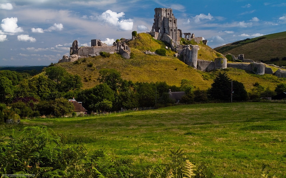 grey concrete castle, nature, landscape, trees, clouds HD wallpaper