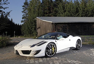 white Ferrari luxury car beside brown wooden house