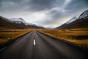 black concrete road, brown grass field and white and black snow mountains