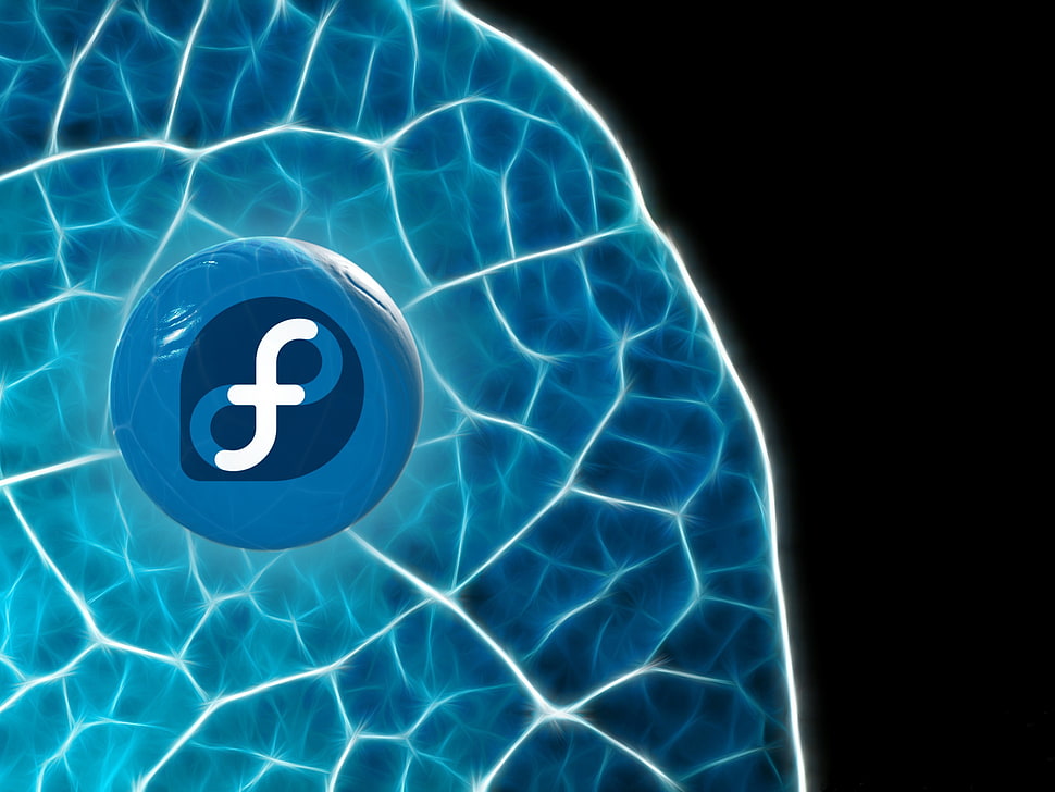 blue and white infinity logo, Linux, GNU, Fedora HD wallpaper