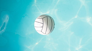white and black volleyball HD wallpaper