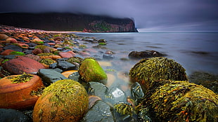 seashore with red and green stones, landscape, stones, Scotland, beach