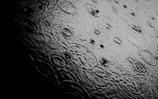 water ripple, rain, puddle, ripples, monochrome