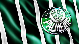 Palmeiras logo, green, soccer, Team Brazil, sport 
