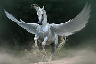 white Stallion with wings painting