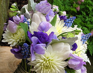 white and purple petaled flower bouquet HD wallpaper