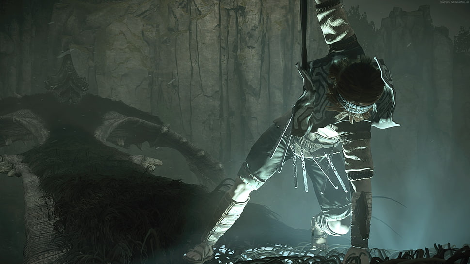 game digital poster, Shadow of the Colossus 2, screenshot, 4k HD wallpaper