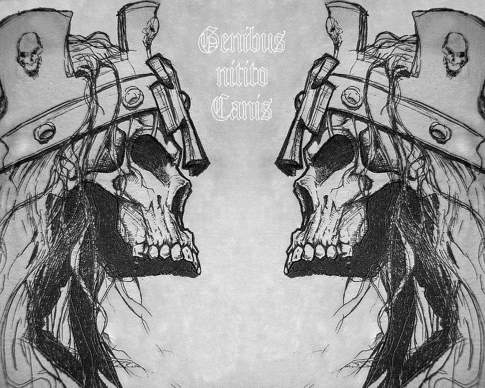 Gentus Nirito Canis illustration, skull, monochrome, fantasy art HD wallpaper