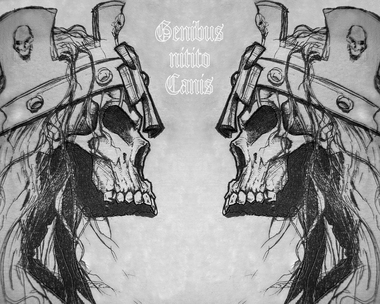 Gentus Nirito Canis illustration, skull, monochrome, fantasy art