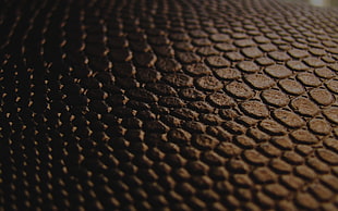 closeup photo of black snake leather