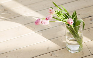 pink Tulips in clear glass flower vase on white wooden floor