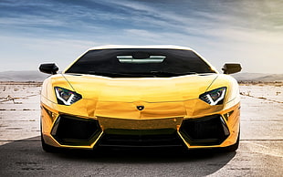 yellow Lamborghini car, Lamborghini, Lamborghini Aventador