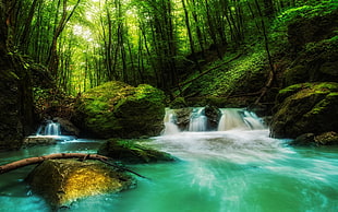 body of water and forest, landscape, nature, waterfall, forest