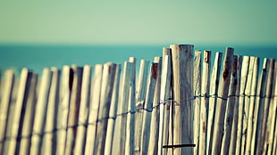 wooden fence photo HD wallpaper