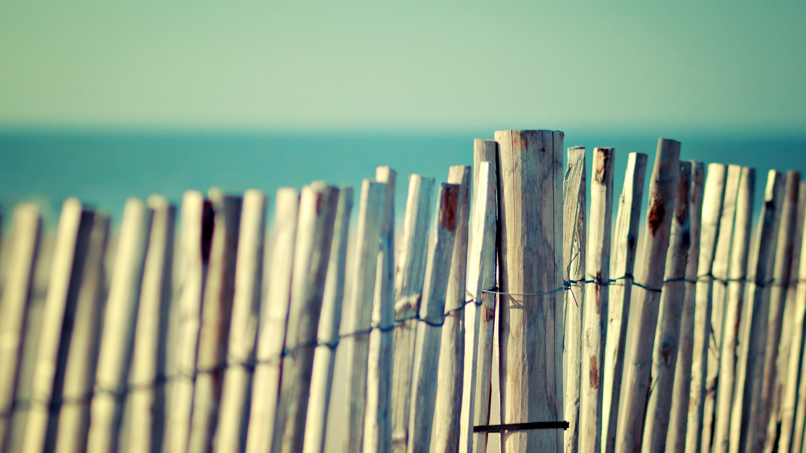 wooden fence photo