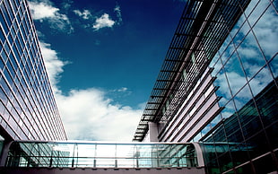 clear glass high rise building, Politechnika Śląska, Gliwice, architecture, building HD wallpaper