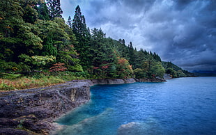 landscape photography of trees beside body of water under cloudy sky