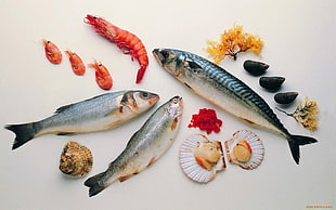 seafoods on white surface