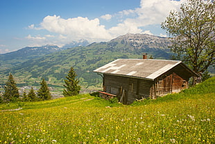 brown wooden barnhouse on green grass valley during clear blue sky daytime HD wallpaper