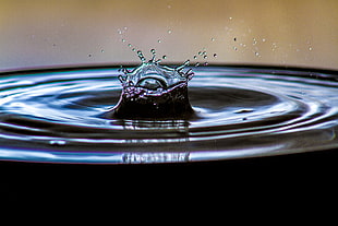macro photo of water drop HD wallpaper