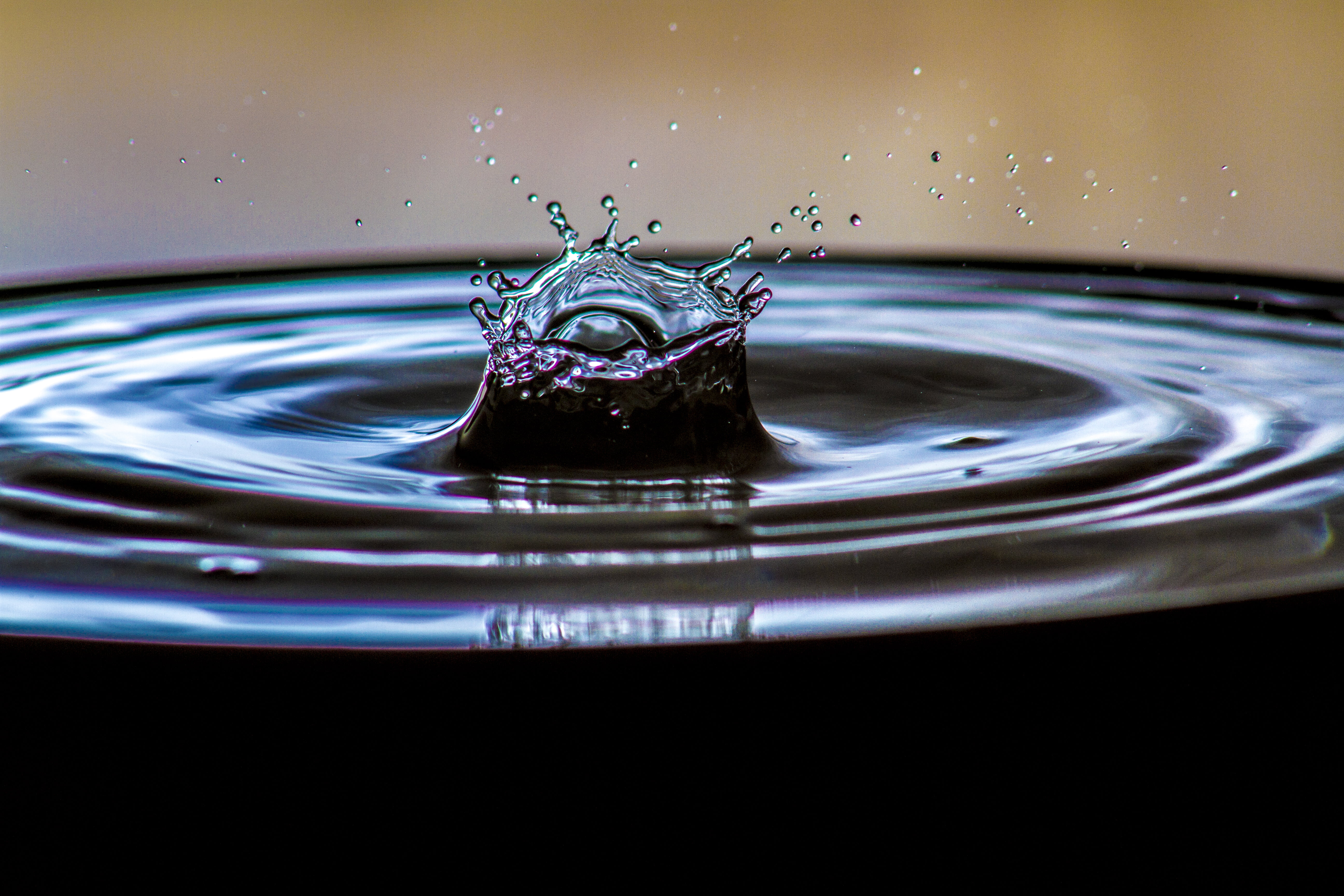 macro photo of water drop