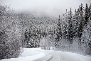 snowy road during daytime HD wallpaper