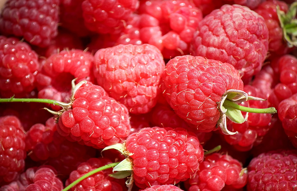 raspberry lot HD wallpaper