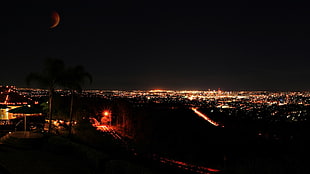 two palm trees, cityscape, night, Brisbane, Moon