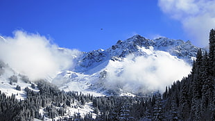 snowy mountain, nature HD wallpaper