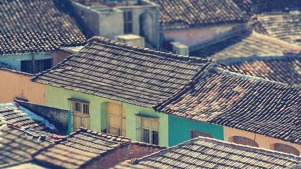 brown and black roof shingles, favela, house HD wallpaper