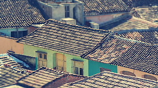 brown and black roof shingles, favela, house
