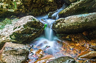 closeup photography of waterfalls