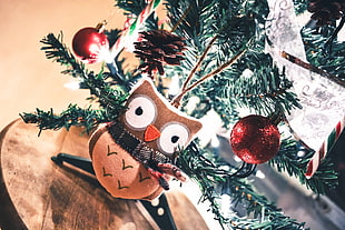 selective focus photo of brown owl Christmas ornament