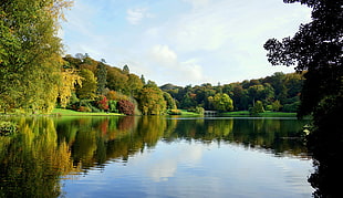 green leafed trees, nature, forest, river, Stourhead