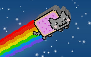 flying cat with rainbow digital wallpaper, Nyan Cat, 3D