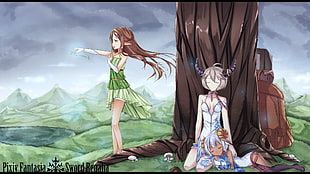 brown haired female anime character illustration, Pixiv Fantasia, elves