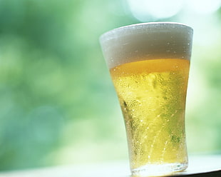 clear drinking glass with beer HD wallpaper