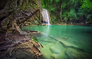 photo of waterfalls, waterfall, forest, roots, Thailand