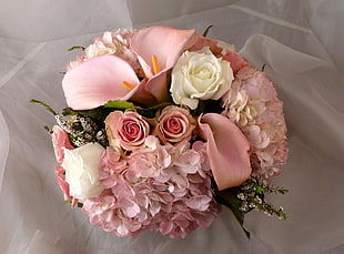 bouquet of pink Rose HD wallpaper
