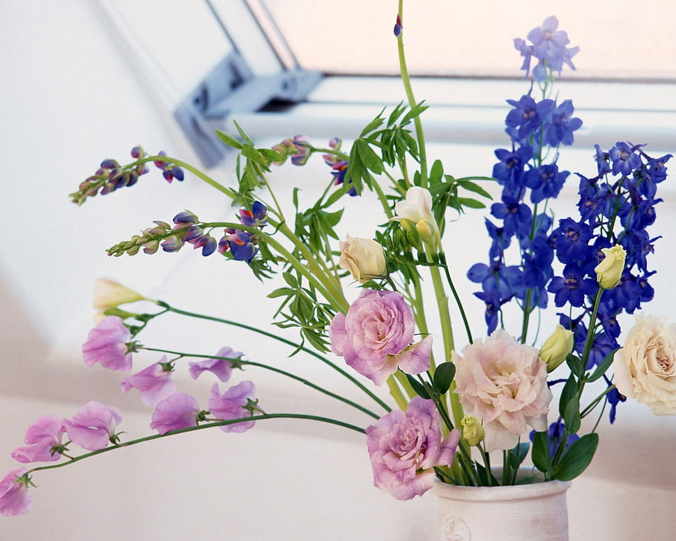 blue, pink, white petaled flowers HD wallpaper