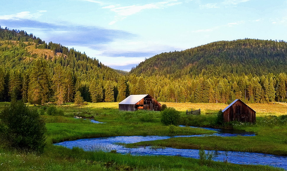 brown wooden barn HD wallpaper